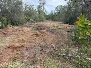 Lakeside Dr, FL