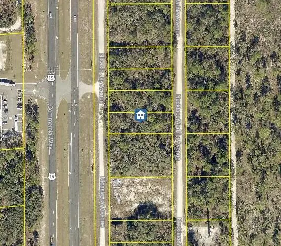 Lot 16 Necklace Warbler Ave, FL