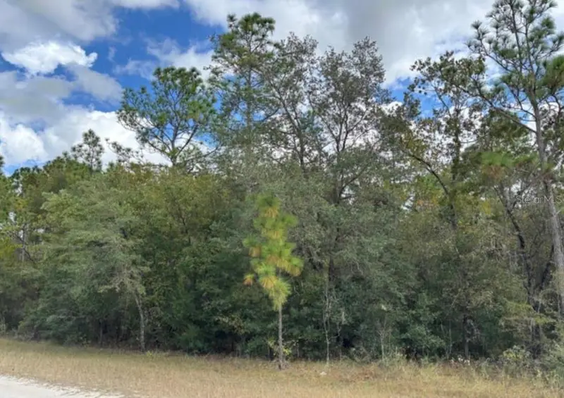 Lot 19 Canyon Swallow Rd, FL