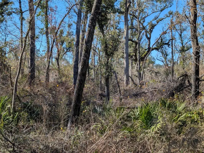 Nw Fox Run Trl #107, FL