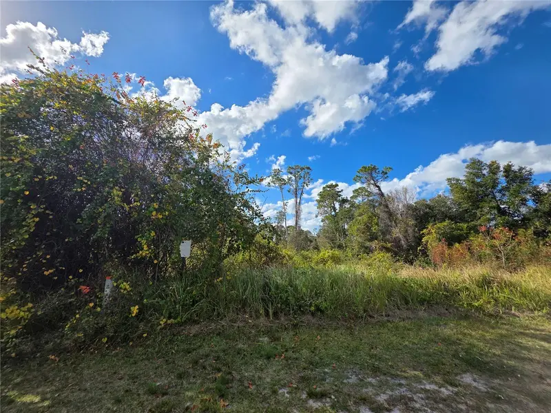 520 W Kingway Dr, FL