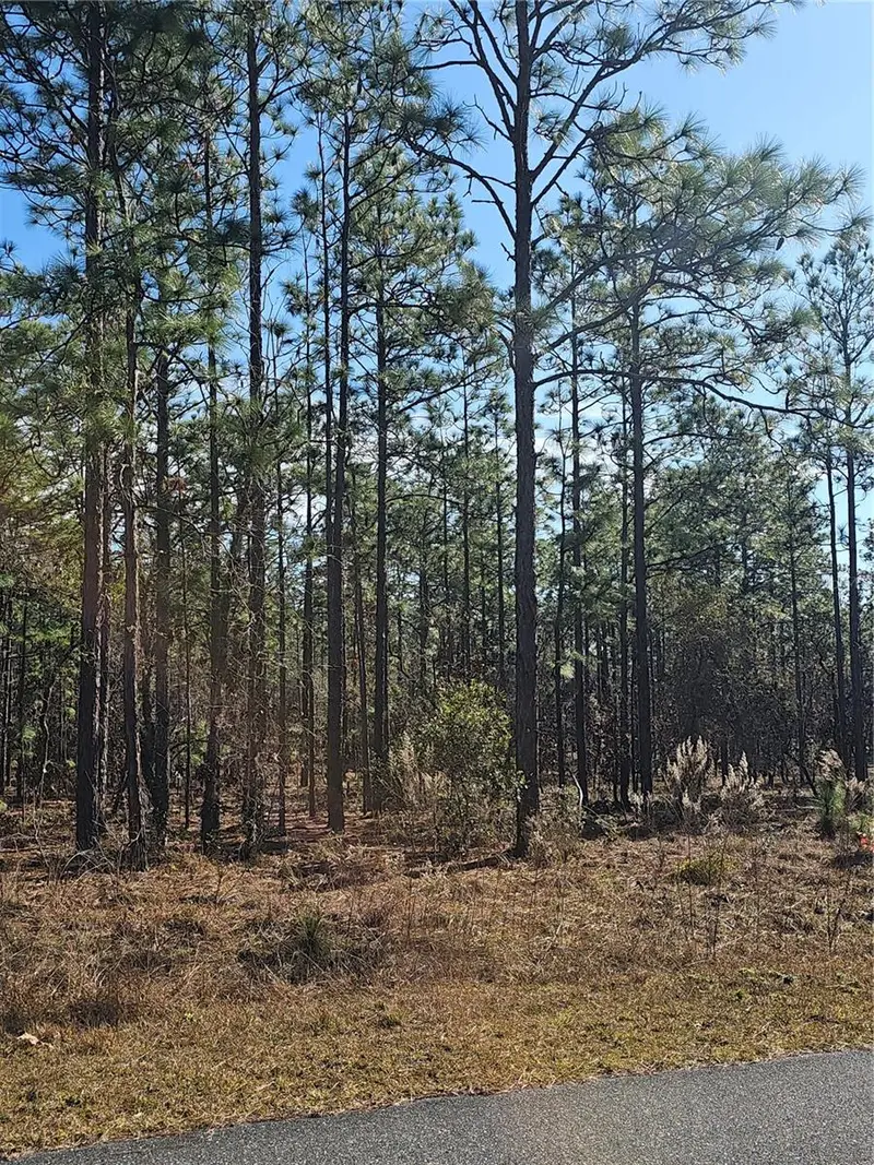 Tbd Se 136th Ter, FL