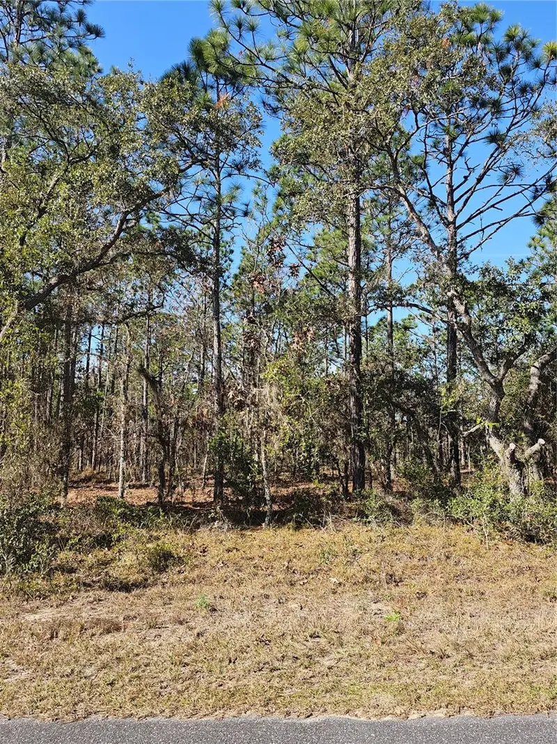 Tbd Se 136th Ter, FL