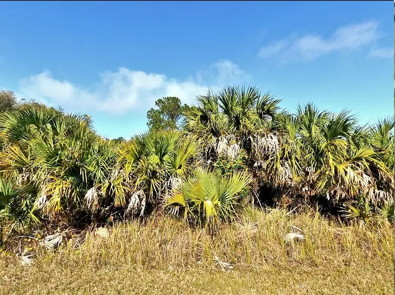 00 Bannock Cir, FL