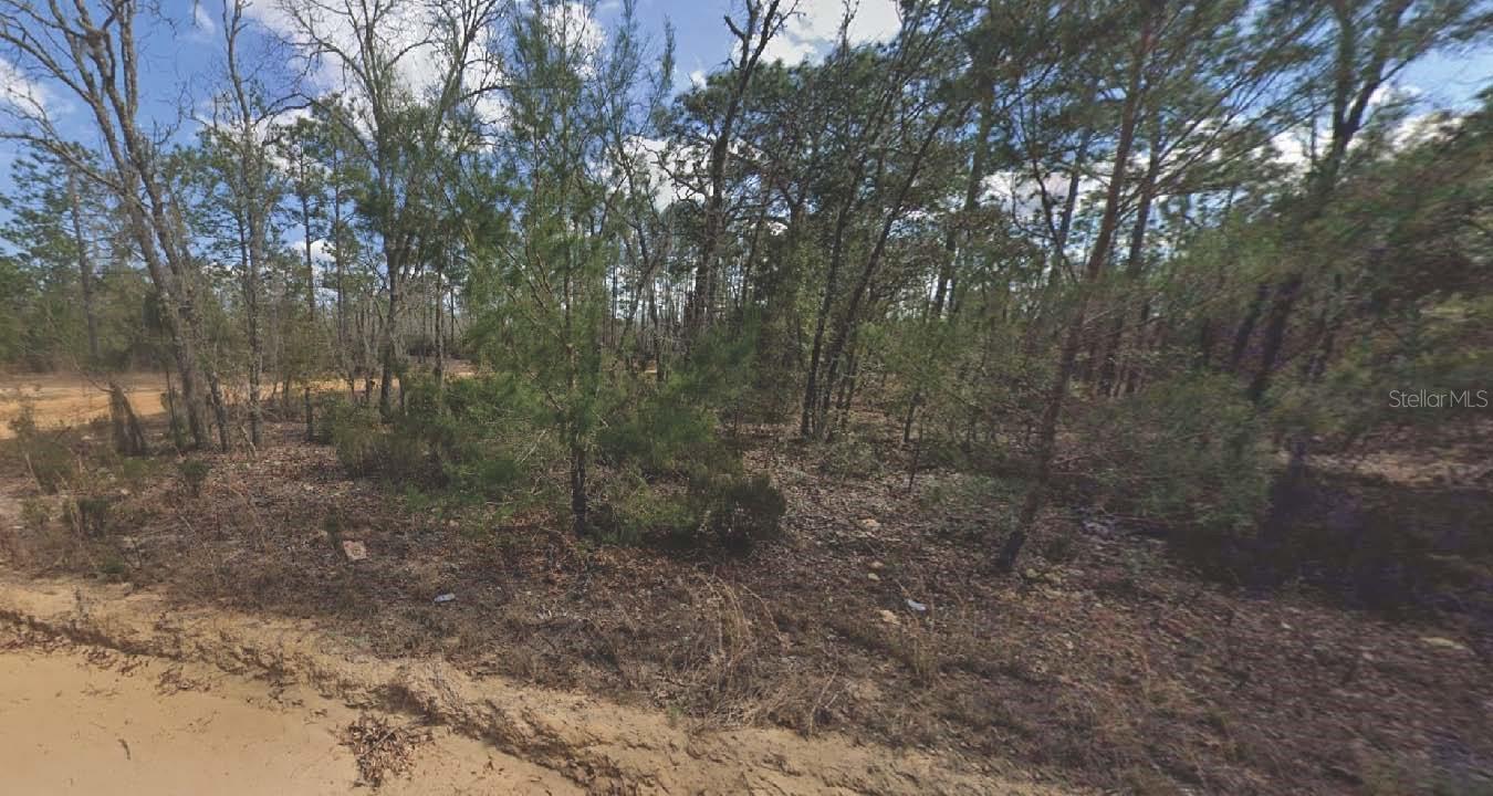 133 Lake Lucy Ct, FL