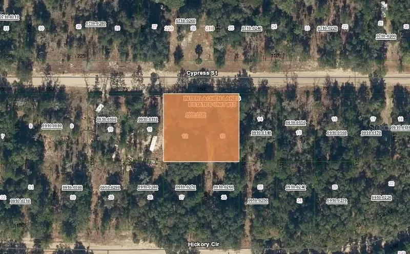 217 Cypress St, FL