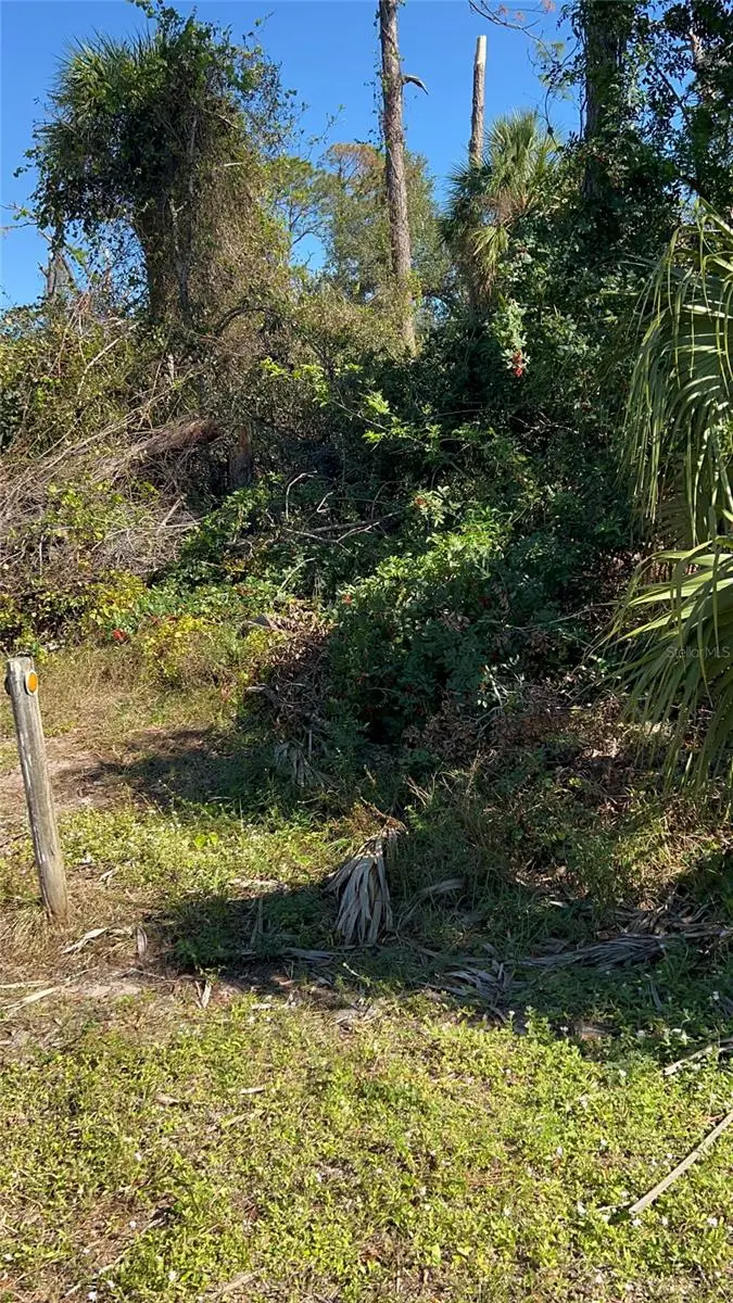 Easter Ter, FL