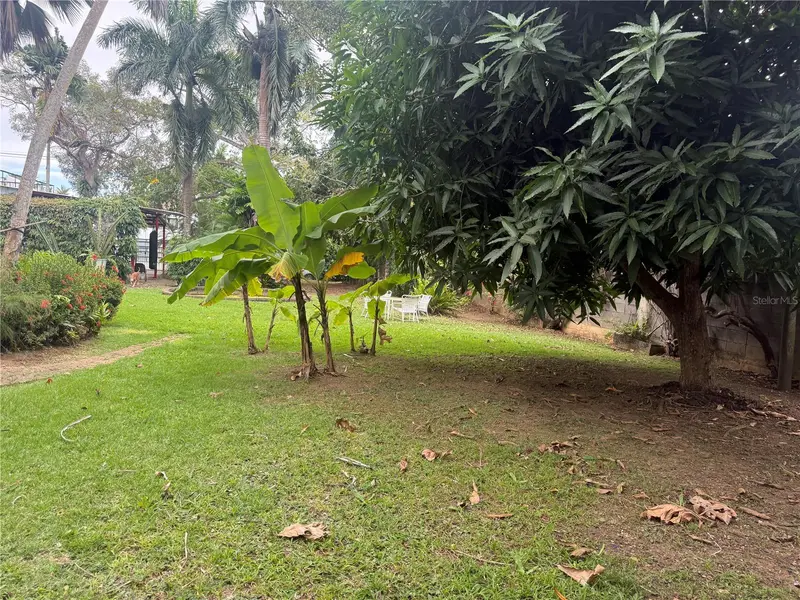 Calle Pedrosa, Garden Hills, PR