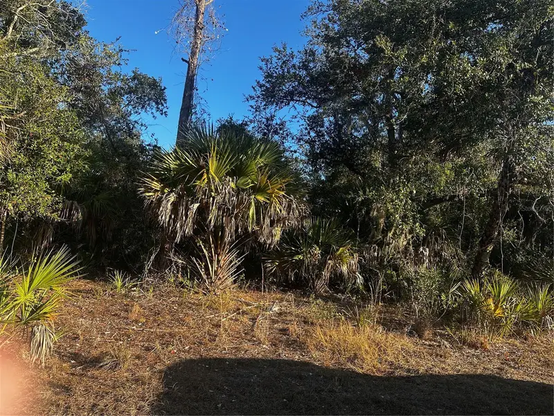 Lanai Ave, FL