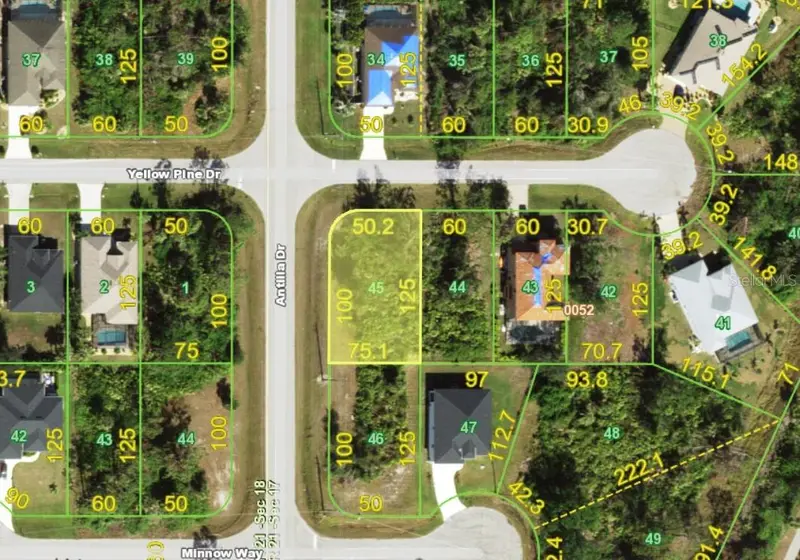 147 Yellow Pine Dr, FL