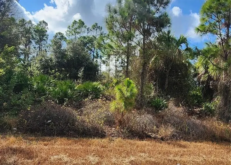 Filbert St, FL
