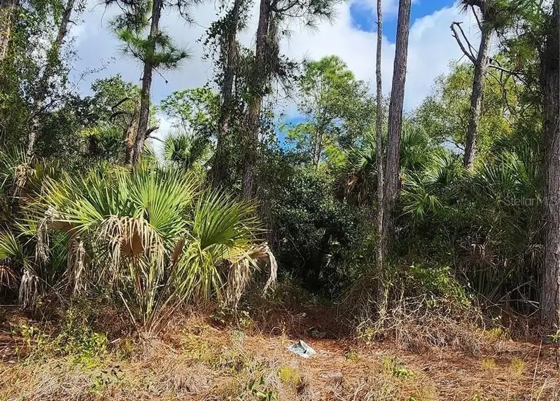 Ananas Rd, FL
