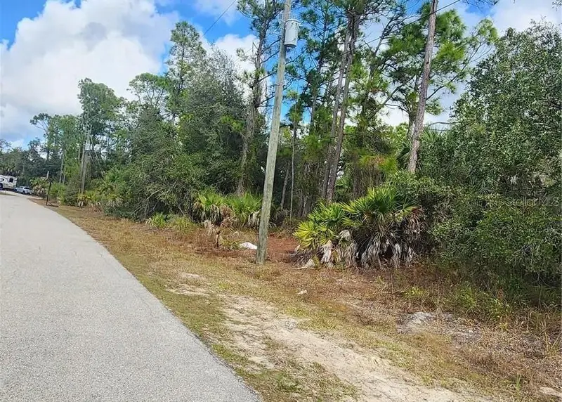 Ananas Rd, FL