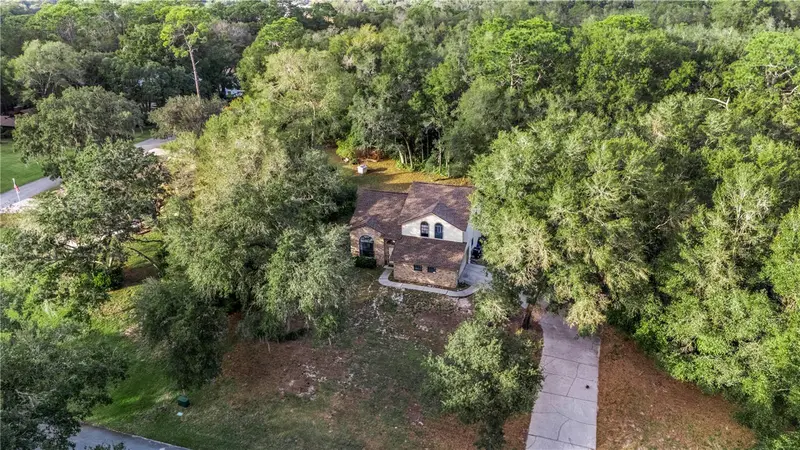 425 Black Ironwood Dr, FL