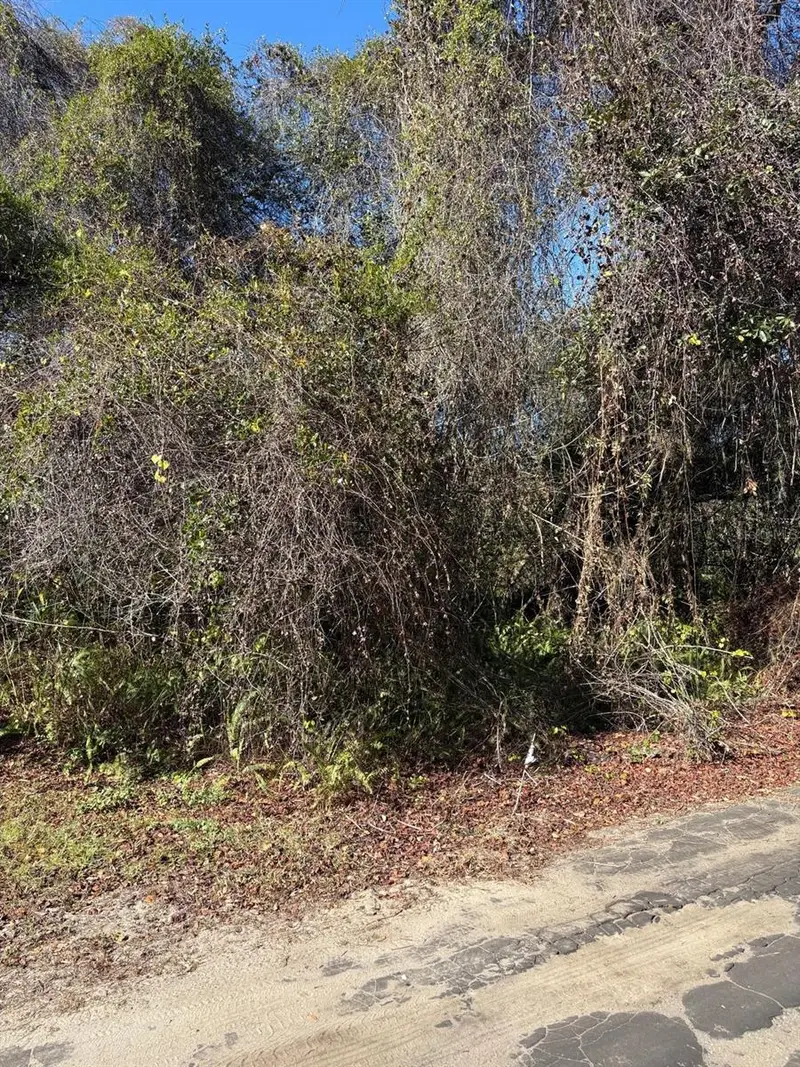 0 Pana St, FL