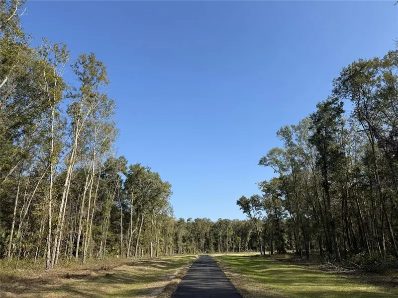 Irvine Acres #3 (10ac) W Hwy 318, FL