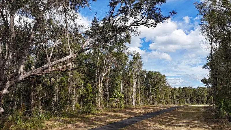 Irvine Acres #3 (10ac) W Hwy 318, FL