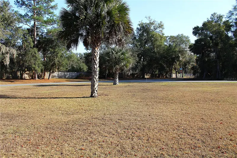 Ne 6th Pl, FL