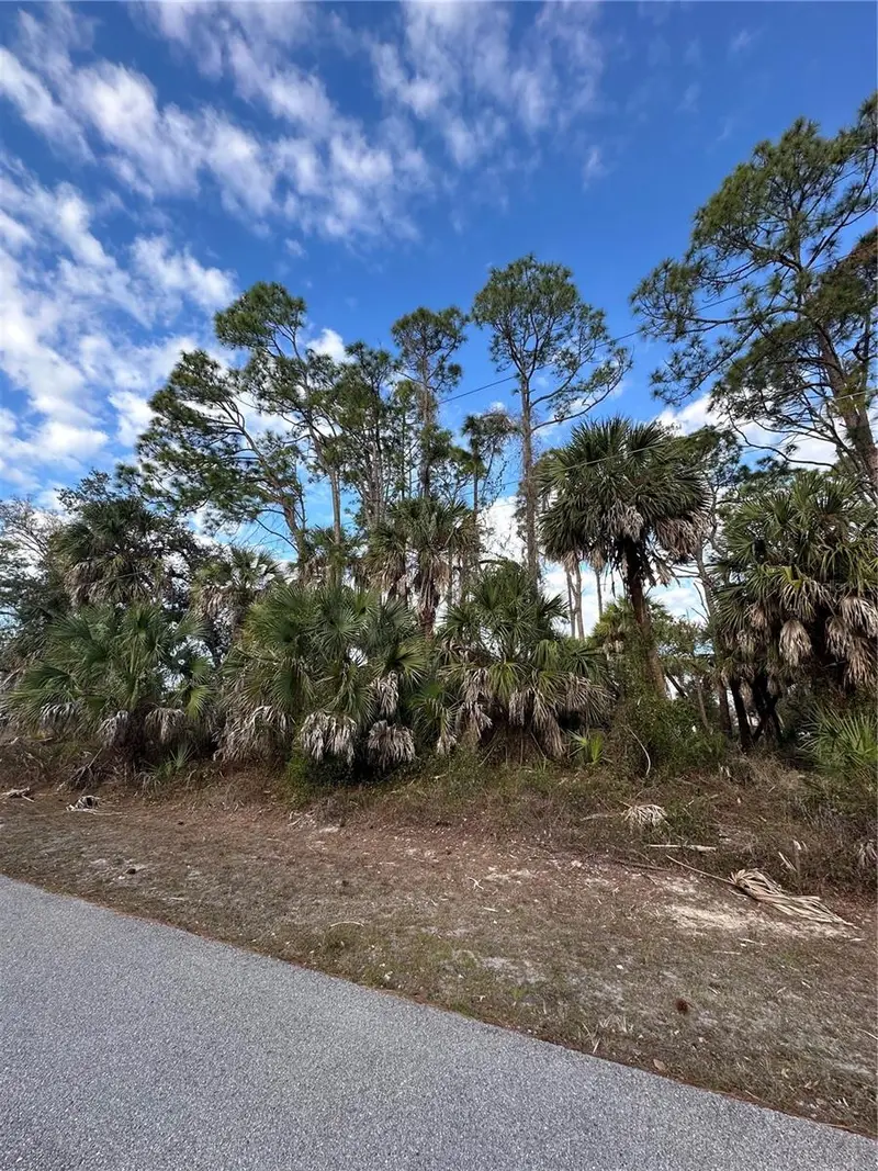 Joann Ter, FL