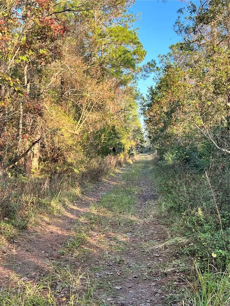 University Highlands/ Deland Crossings, FL