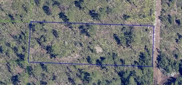 Dill Rd, FL