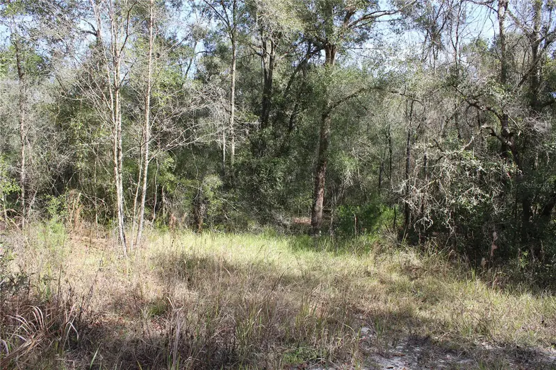 34273 Belt Dr, FL