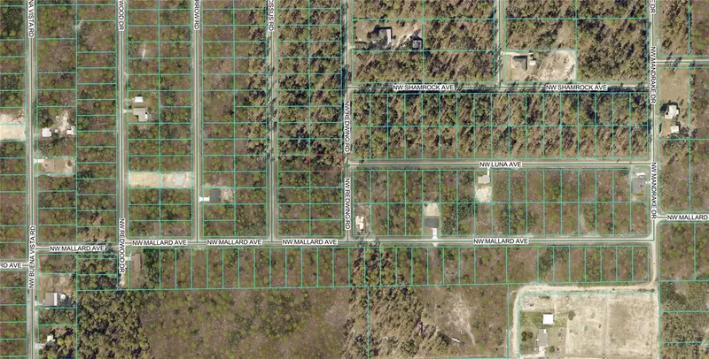 156 Nw Redwing Rd, FL