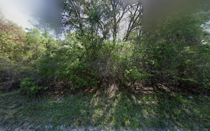 Ne 799th St, FL