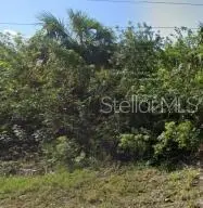 886 Bitlis St Sw, FL