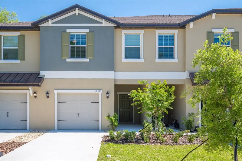 17399 Nectar Flume Dr, FL