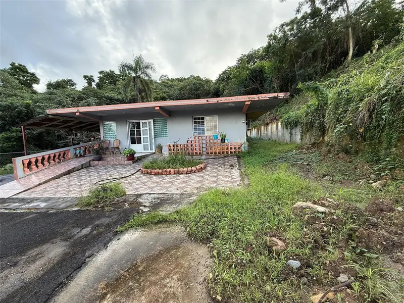 Carr 925 Km 4.9 Bo. Junquito, PR
