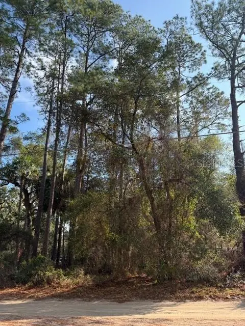 Tbd Ne 236 Ter, FL
