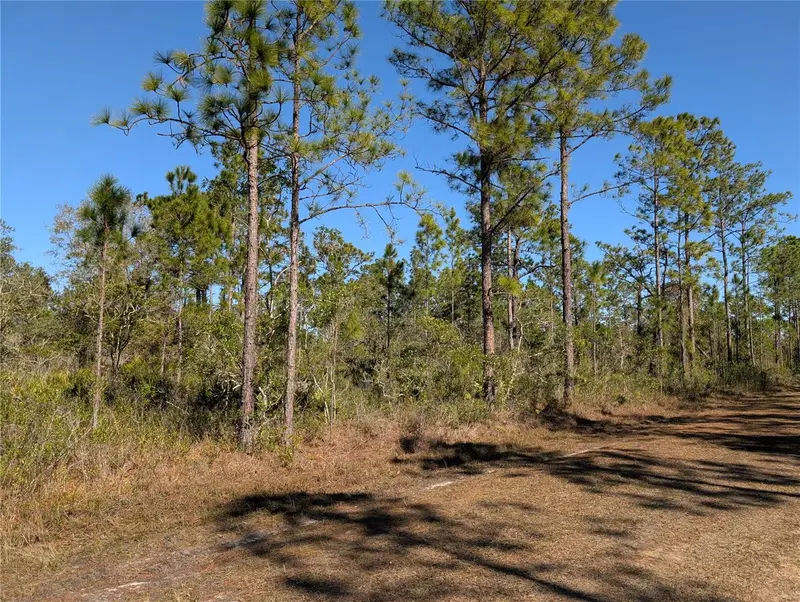 206 Ixora Drive, FL