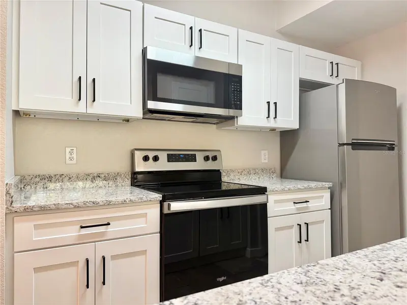 17114 Carrington Park Dr #207, FL