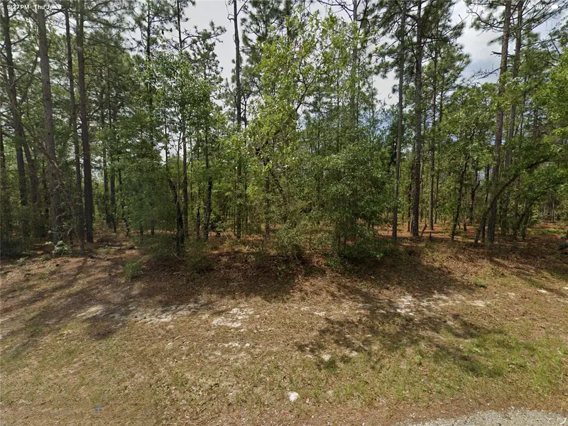 1022 W Cary Dr, FL