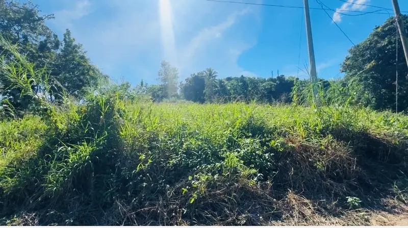 Bo Naranjo Carretera #2, Km 138.2 Int, PR