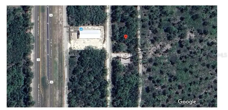 17094 Necklace Warbler Ave, FL