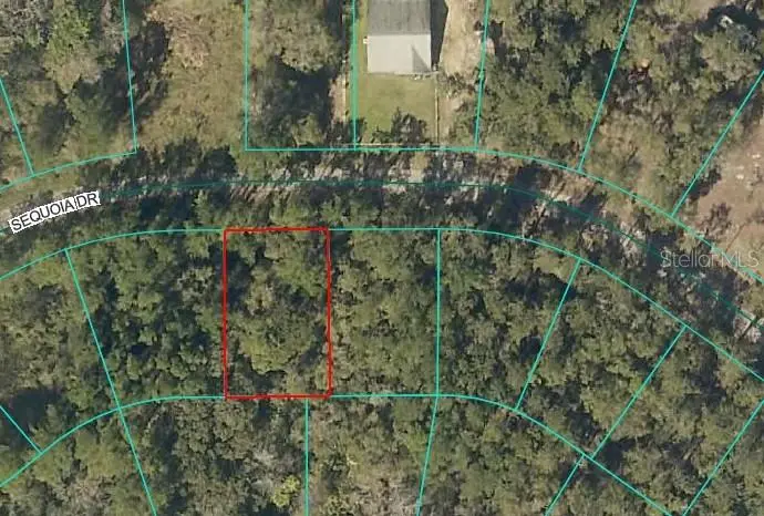 Sequoia Dr, FL