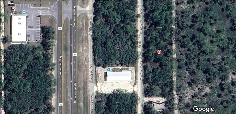17108 Necklace Warbler Ave, FL