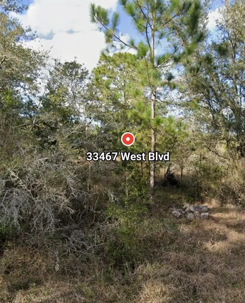 33467 West Blvd, FL