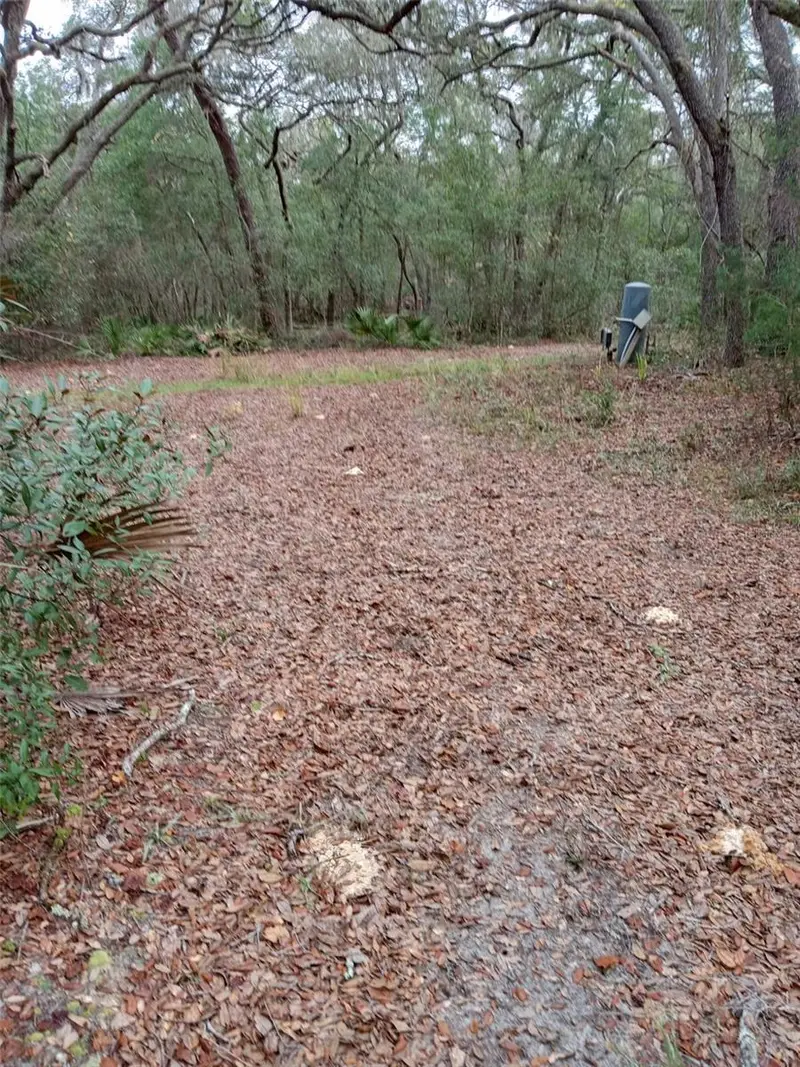 28093 Se Highway 42, FL