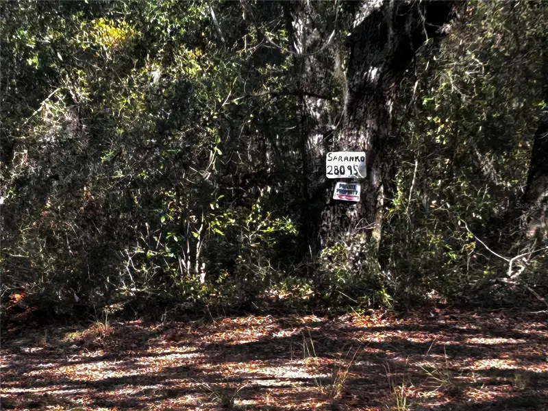 28093 Se Highway 42, FL