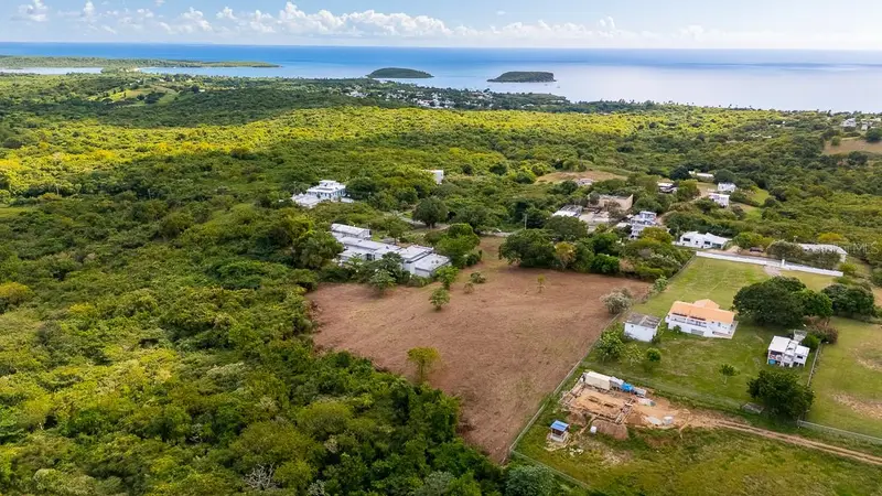 D8 Puerto Real Remanente, PR