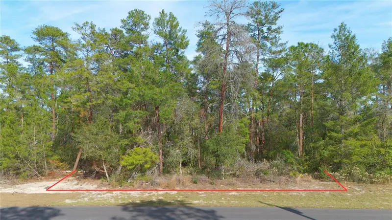 Sw 55th Court Rd, FL