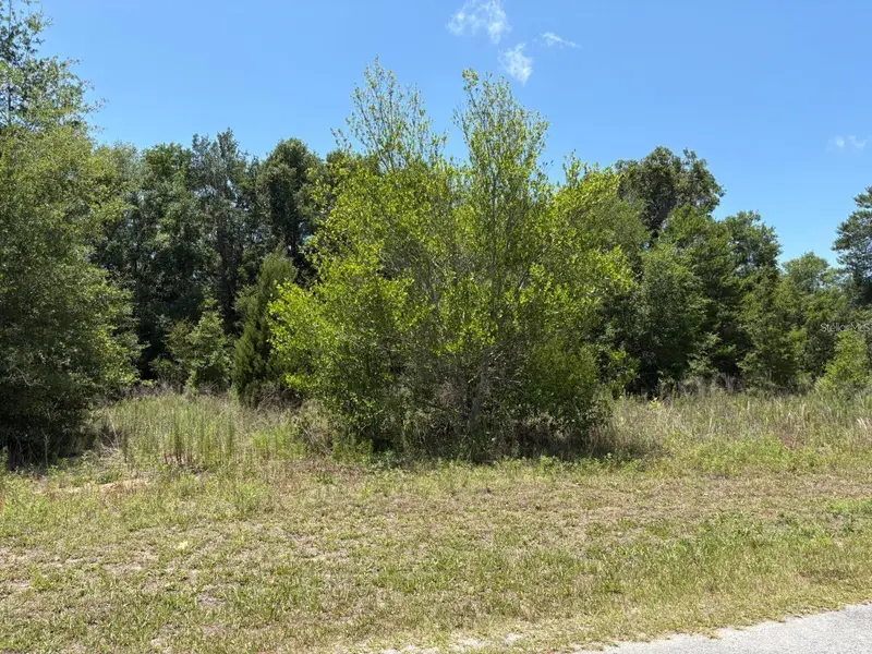 6642 N Flower Ter, FL