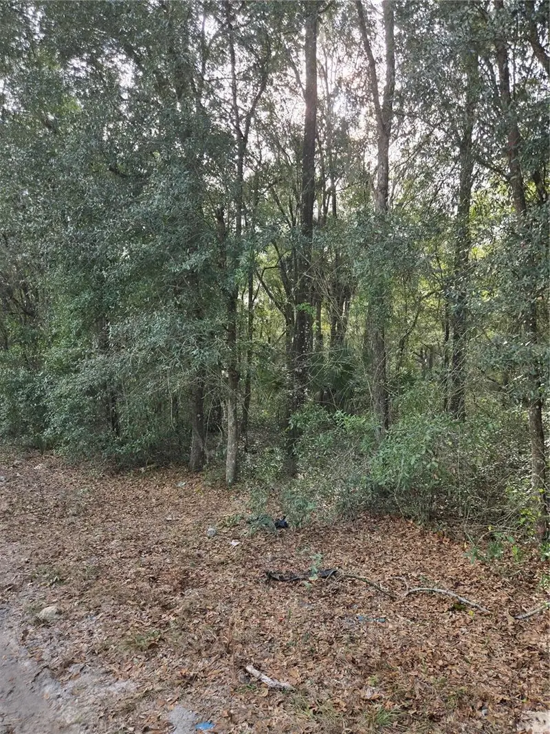 Ne 163rd Pl, FL