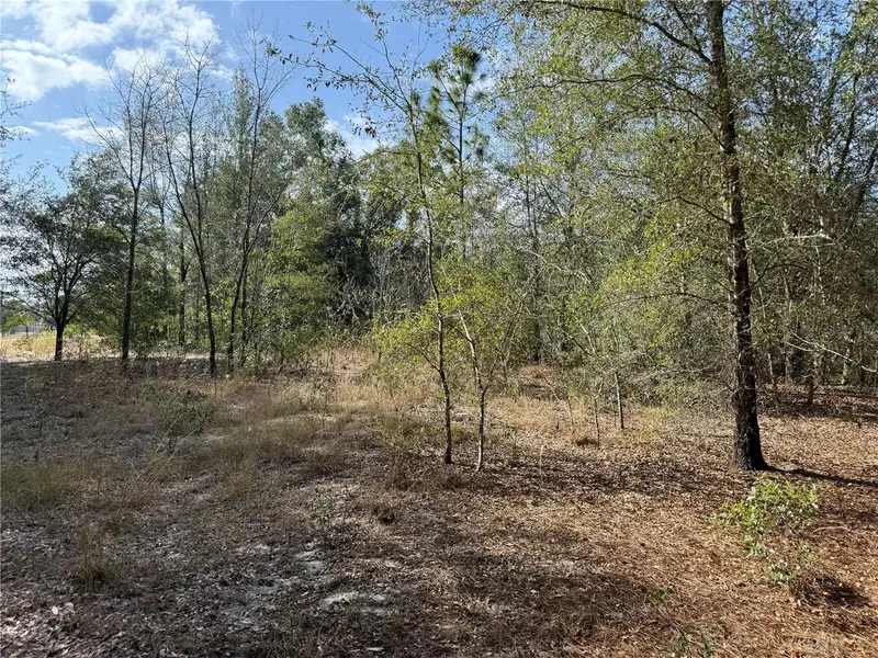 Se 92nd Ct, FL
