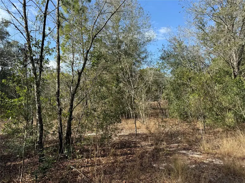 Se 92nd Ct, FL