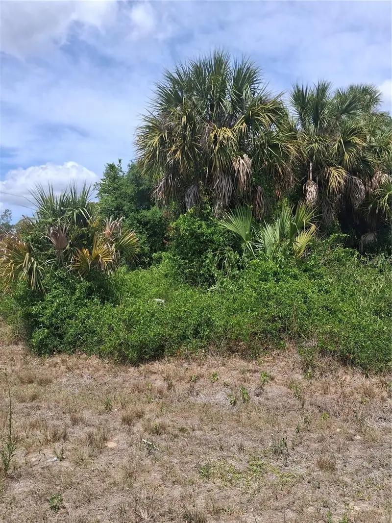 N Holloway Ave, FL