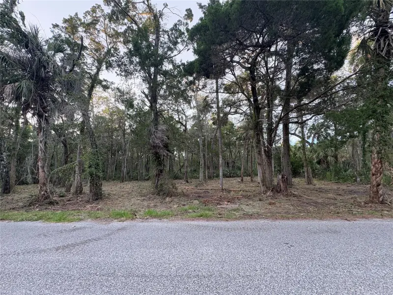 11905 W Eldred Ln, FL